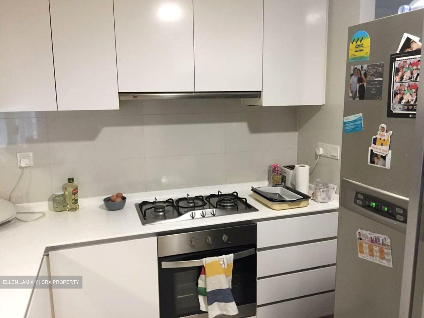 The Lakefront Residences (D22), Condominium #559230251